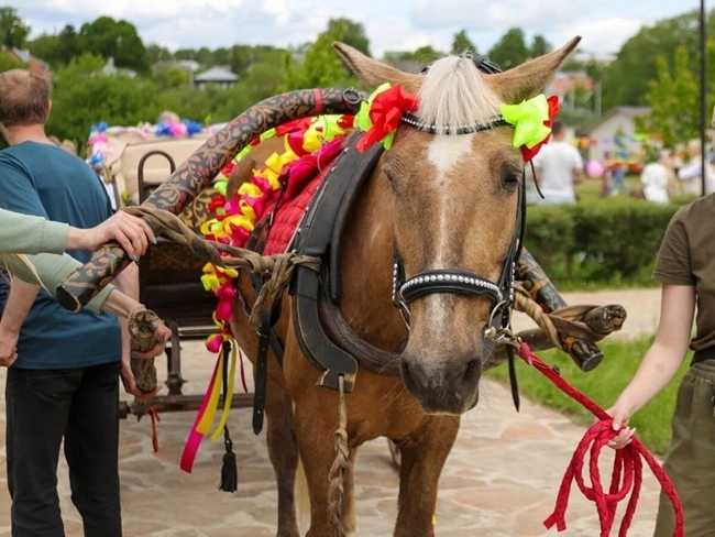 En häst med blommor i manen som drar en caleche och guidas av rumäner.