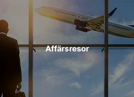 Affärsresor