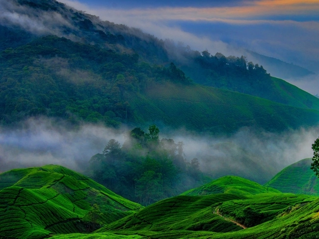 Utsikt över den malaysiska landsbygden