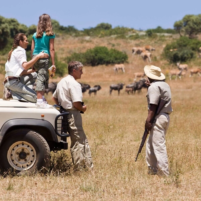 Flera personer deltar i en safari