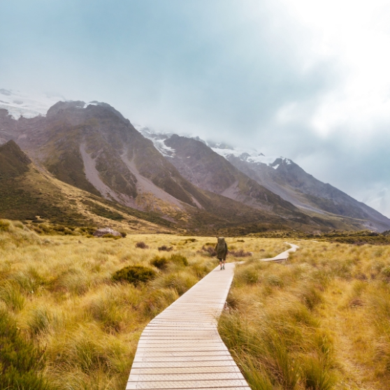 När behöver man kontanter i Nya Zeeland?