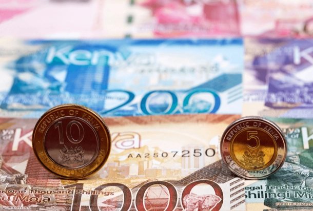 Ungersk valuta