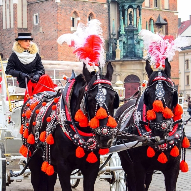 En kvinna i en vagn klädd i traditionell polsk dräkt